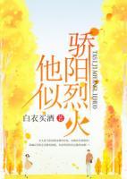 他似骄阳烈火小说免费阅读
