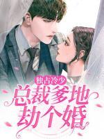 独占第一冷少宠妻入骨txt