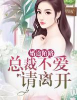 婚途陌路:总裁一撩就上瘾