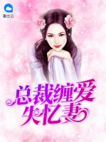 总裁失忆是什么电视剧