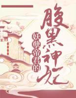 妖孽帝君的腹黑神妃TXT