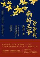 病娇王爷等等我 海封