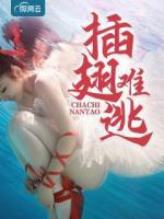 插翅难逃陆进缅甸
