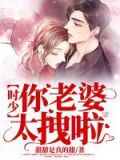 时少你老婆又跑了漫画