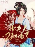 少夫人又爬墙了小说