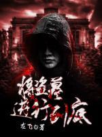 将盗墓进行到底全集
