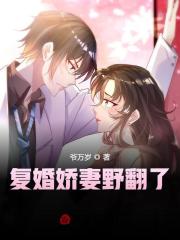 复婚全文免费阅读无弹窗