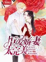 拒爱娇妻太完美小说