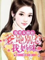 腹黑双胞胎:爹地别惹我妈咪TXT下载