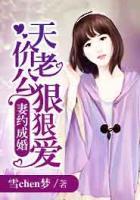 宠妻成狂闪婚老公狠狠爱