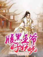 腹黑王爷妖娆妃 小说