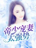 沈念顾琛结局