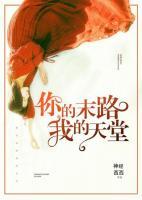 你的陌路,我的天堂免费阅读全部