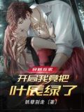 开局穿成反派高富帅叶枫