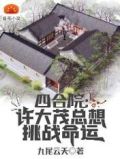 四合院之许大茂彻底黑化