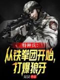 特种兵:从铁拳团开始,打爆狼牙的小说