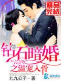 沐少追妻别想逃百度云