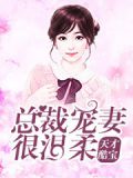 天才酷宝总裁宠妻太强悍下载