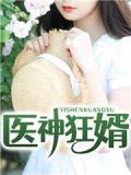 医神狂婿小说
