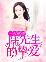一夜燃情,陆先生的挚爱TXT下载