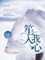 笙入我心林月笙