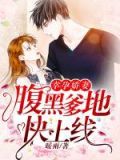 幸孕暖婚娇妻不乖,我宠的免费阅读