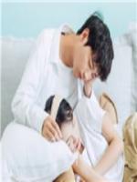 墨少这次换我追你