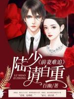 前妻难追陆少请自重曲熙然