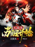 无敌从苏醒开始境界