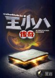 涟水王小八