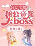 弃女迫嫁：相公竟是大boss