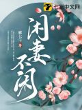 闲妻不闲小说百度云