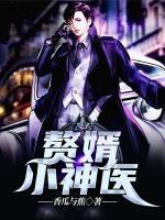 赘婿小神医在都市