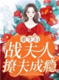重生后战夫人撩夫成瘾