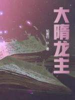 大隋龙主杨广的小说