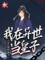 异世皇子争权类的小说