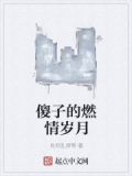傻子的燃情岁月笔趣阁