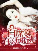 律政辣妻:首席在劫难逃 倾城阿月