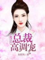 ti翻总裁
