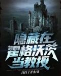 隐藏在霍格沃茨当教授起点