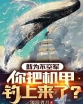 就为不空军，你把机甲钓上来了？