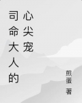 司命大人的心尖宠