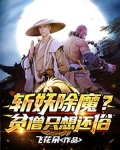 斩妖除魔？贫僧只想还俗