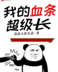 我的血条超级长