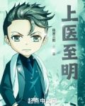 上医至明TXT下载奇书网