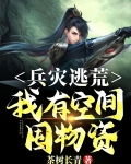 兵灾逃荒：我有空间囤物资！