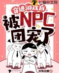 穿进游戏后被npc团宠了