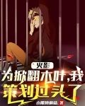火影:为掀翻木叶,我策划过头了日向青月
