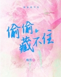 偏偏宠爱