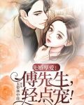 暖婚厚爱傅先生晚安